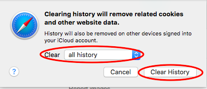 Safari Clear History