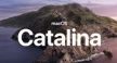 Catalina tiny image